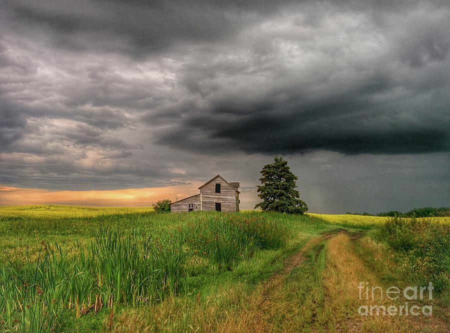 Little House on the Prairie by Lee Sapara