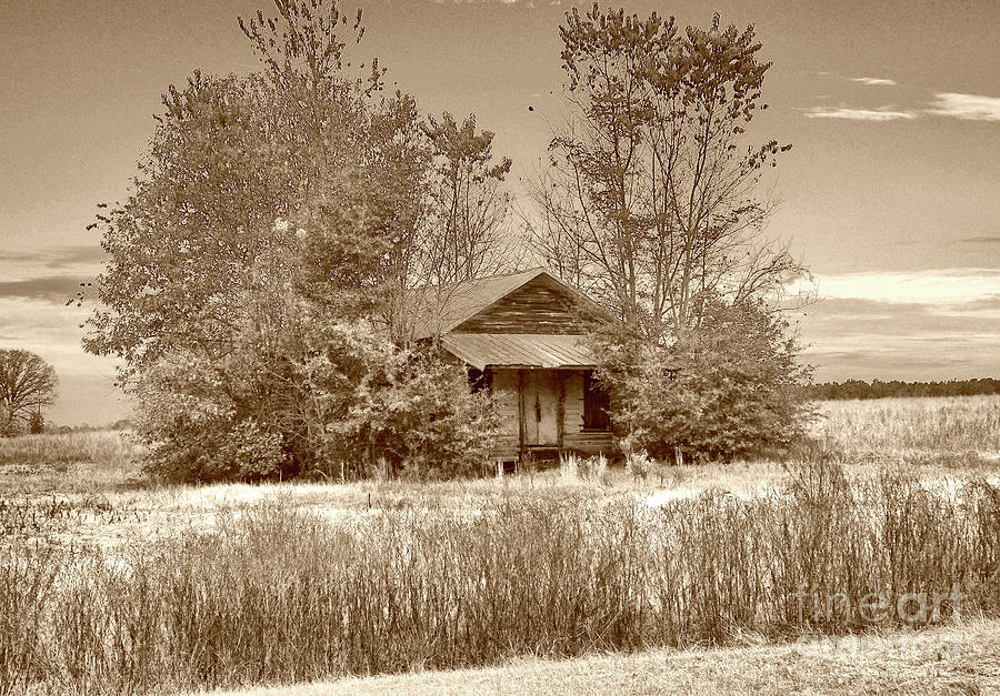 Little House On The Prairie Photograph by Skip Willits
