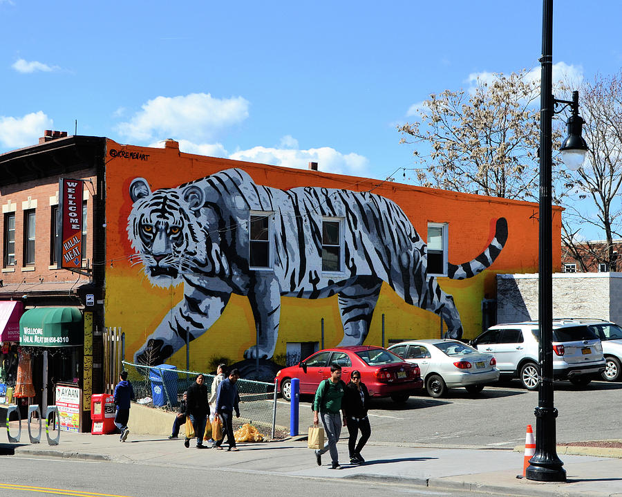 Image result for Wall murals in Jersey City Little India tiger
