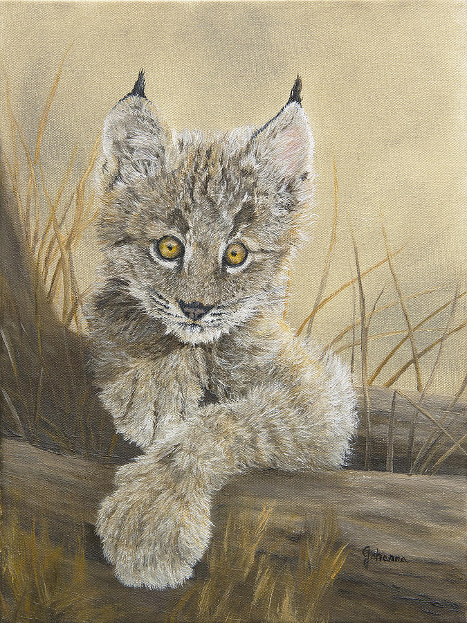 Little Inquisitive One - Canadian Lynx Painting by Johanna Lerwick
