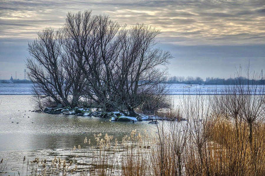 Little Island in Winter Photograph by Frans Blok