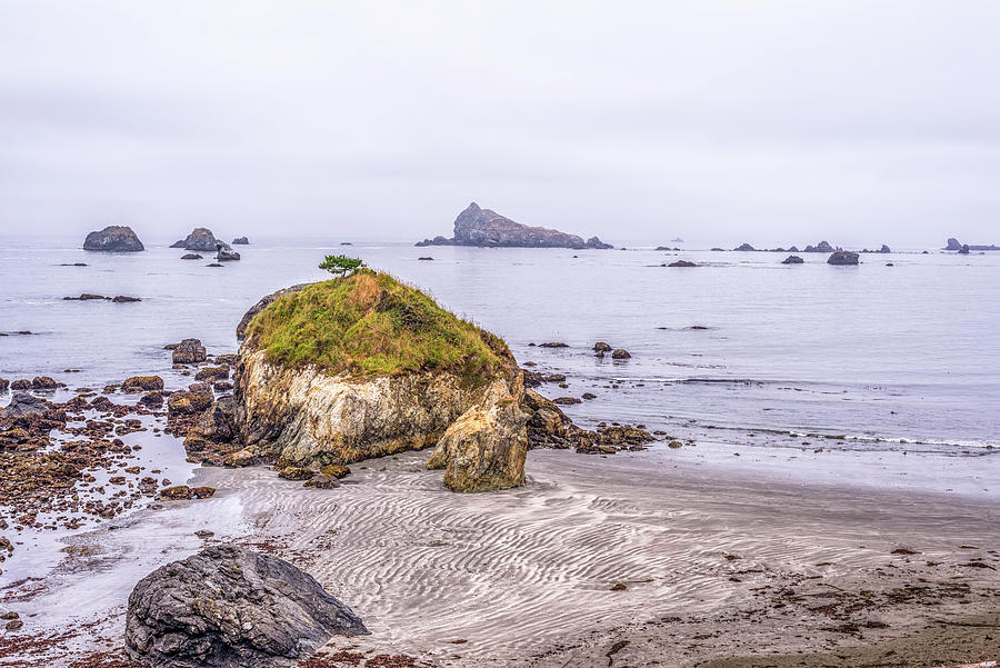 Pebble Beach Rocks Photograph by Joseph S Giacalone