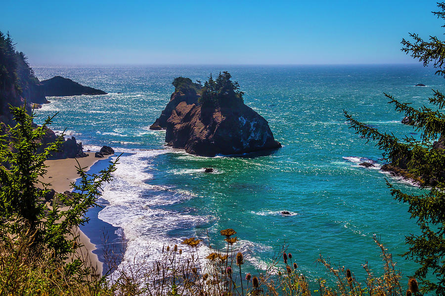 Little Island Oregon Coast Photograph by Garry Gay