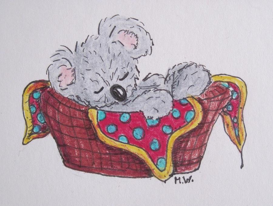 Little koala, fast asleep Drawing by Megan Walsh