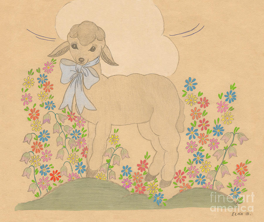 Little Lamb Drawing by Donna L Munro
