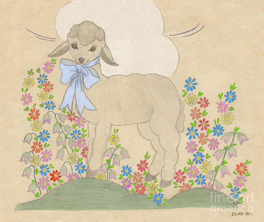 Little Lamb Lightened Drawing by Donna L Munro