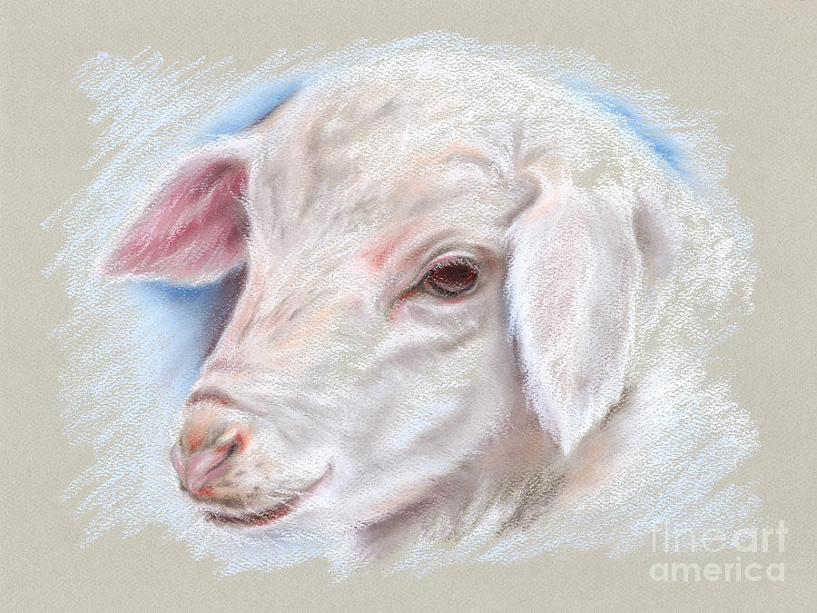 Little Lamb Pastel by MM Anderson
