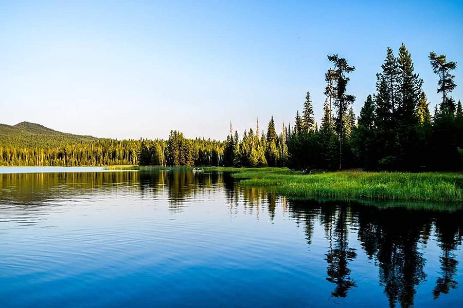 Little Lava Lake Photograph by Nicole Aldred - Fine Art America