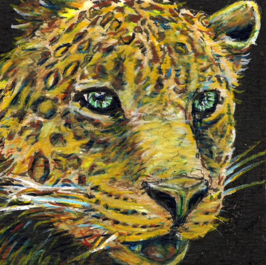 Little Leopard Painting by Thomas Hamm