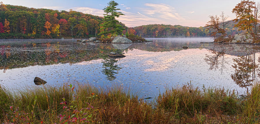 Little Long Pond Dawn Photograph by Angelo Marcialis