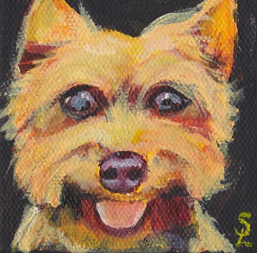Little Manolo by Sarah Lowe Little Manolo by Sarah Lowe