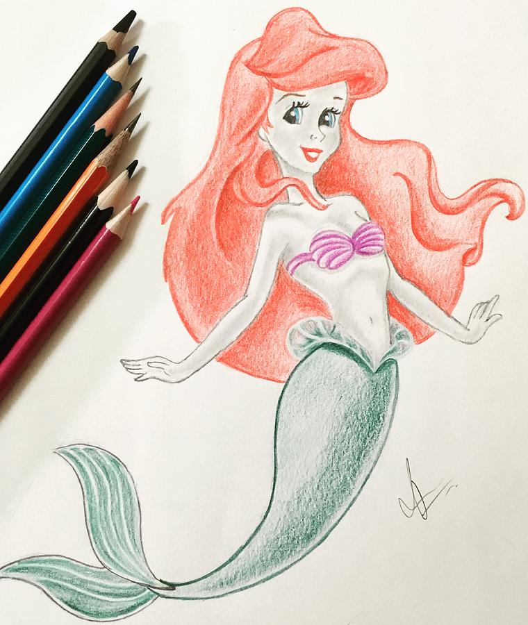 The Little Mermaid Ariel (Outline) Original Art 8.5x11 Sketch - Create –  Guy Gilchrist | Official Website | Autograph Funko POP | Jim Henson's  Cartoonist