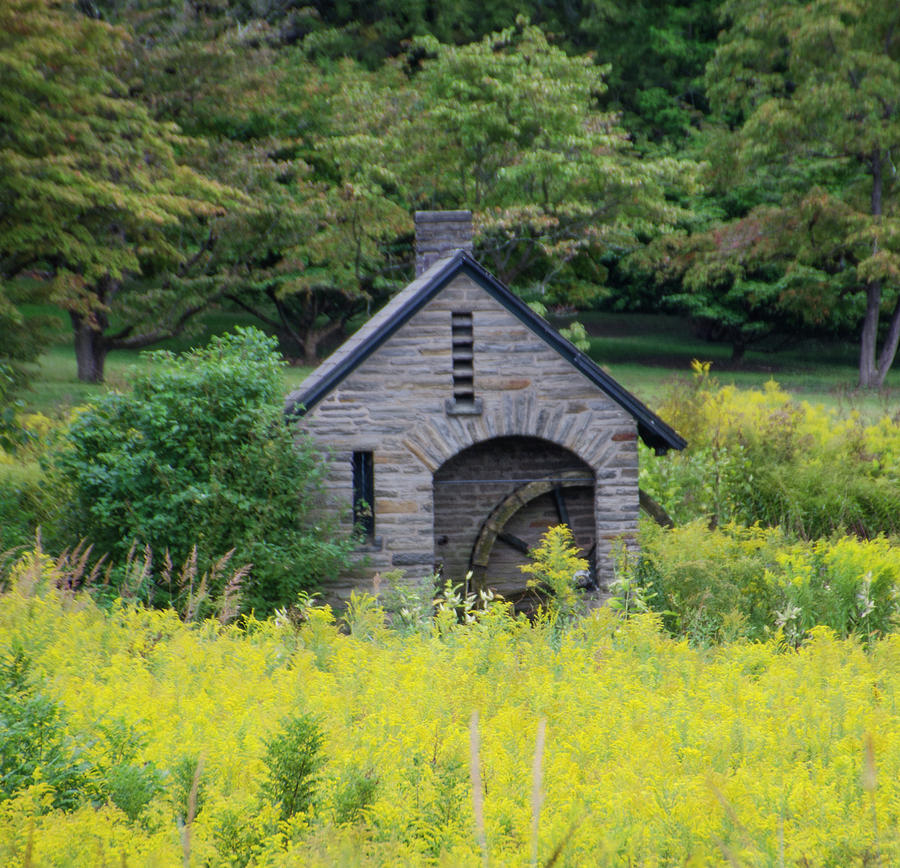 Little Mill in Autumn - Morris Arboretum Photograph by Bill Cannon
