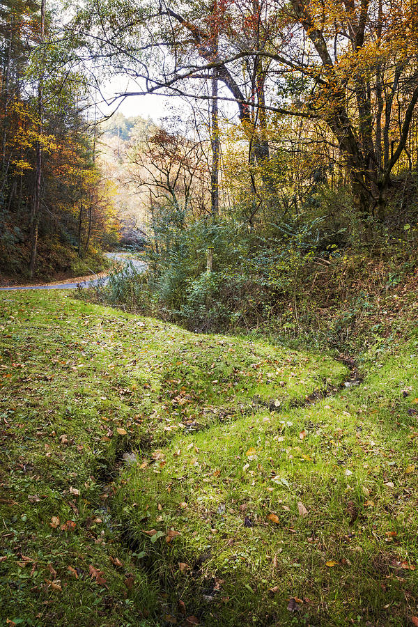 Fall Photograph - Little Mountain Stream by Debra and Dave Vanderlaan