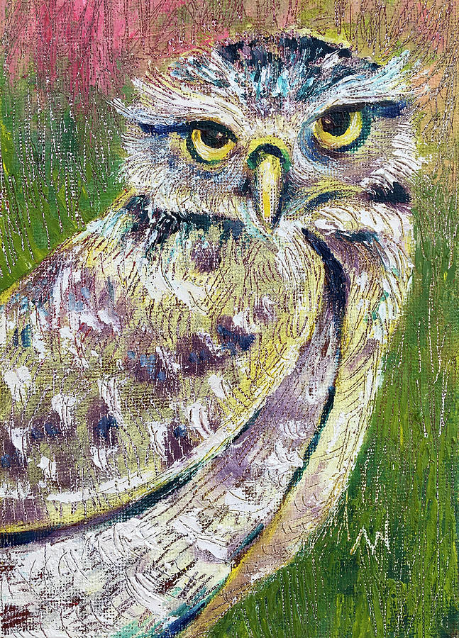 Little Owl Painting by AnneMarie Welsh