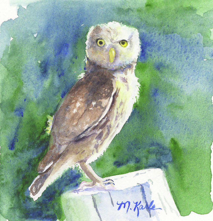 Little Owl Painting by Marsha Karle