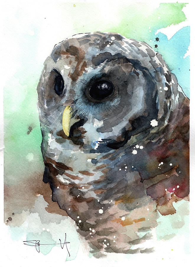 Little Owl Painting by Sean Parnell