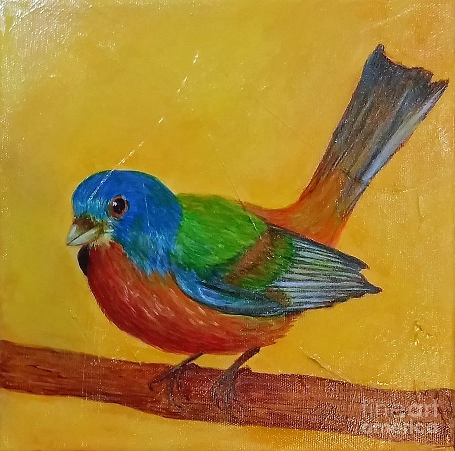Little Painted Bunting Painting by Phyllis Howard