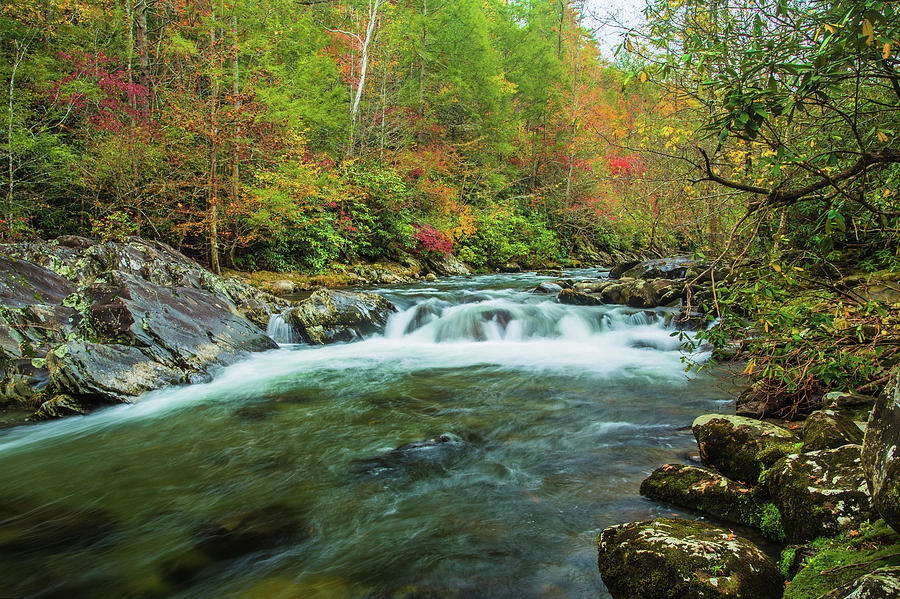 Fall Photograph - Little Pigeon River Flows In Autumn in The Smoky Mountains by Carol Mellema