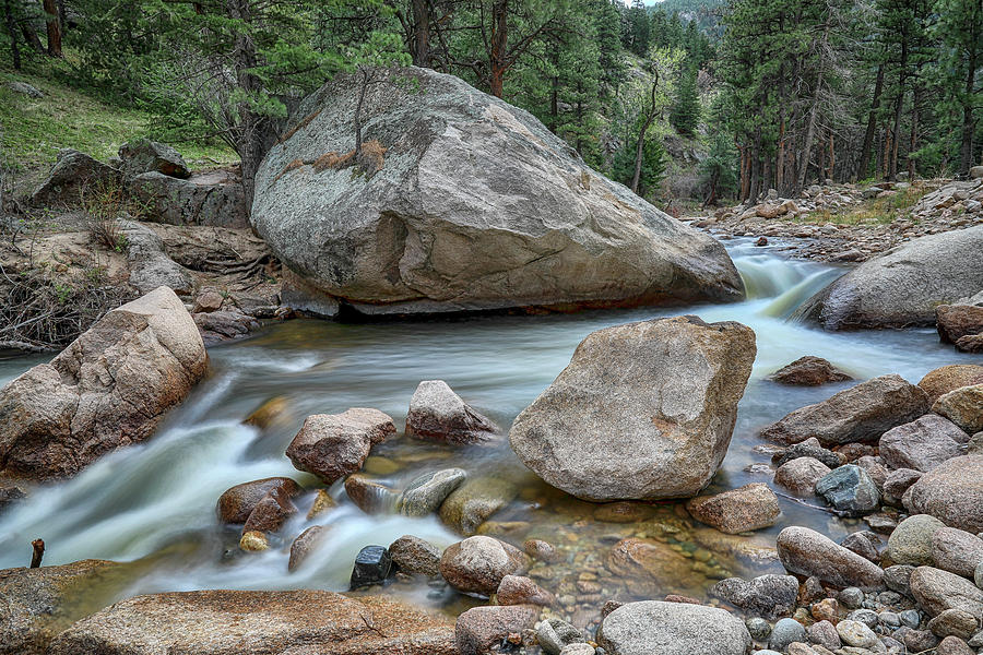Little Pine Tree Stream View Photograph by James BO Insogna