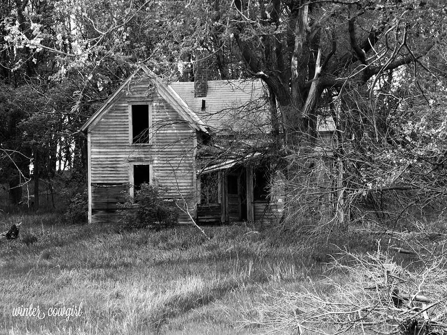 Tree Photograph - Little House on the Cornfield by Lisa Knauff