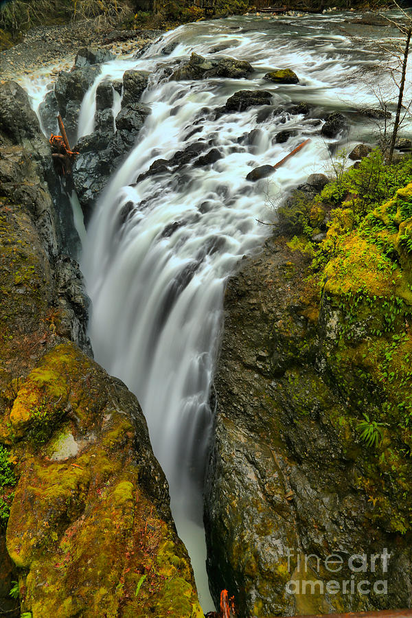 Little Qualicum Lower Falls Portrait Photograph by Adam Jewell