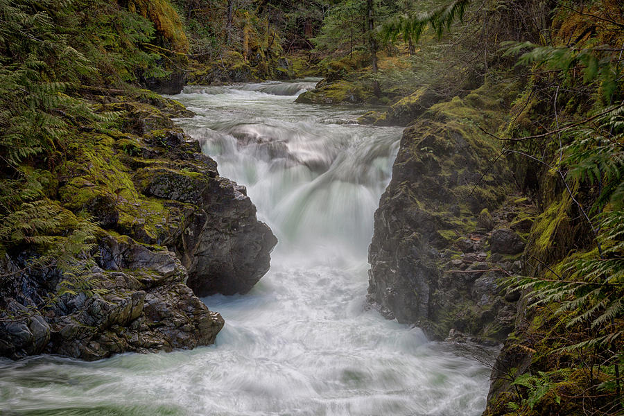 Little Qualicum Lower Falls Photograph by Randy Hall