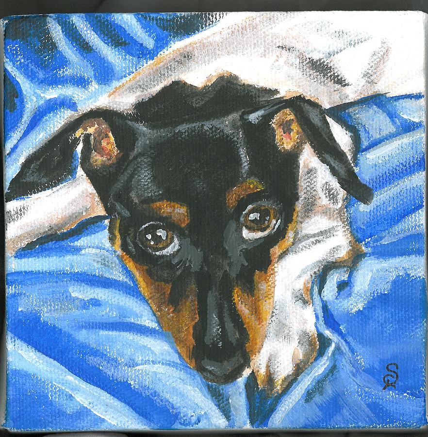 Little Rat Terrier by Sarah Lowe Little Rat Terrier by Sarah Lowe