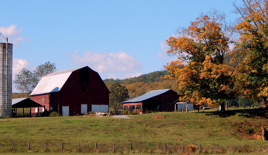 Little Red Barn Photograph by Arlane Crump