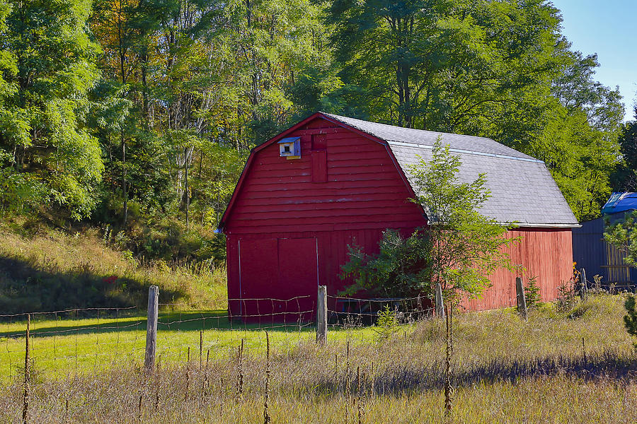 Little Red Barn Photograph by Gary Hall