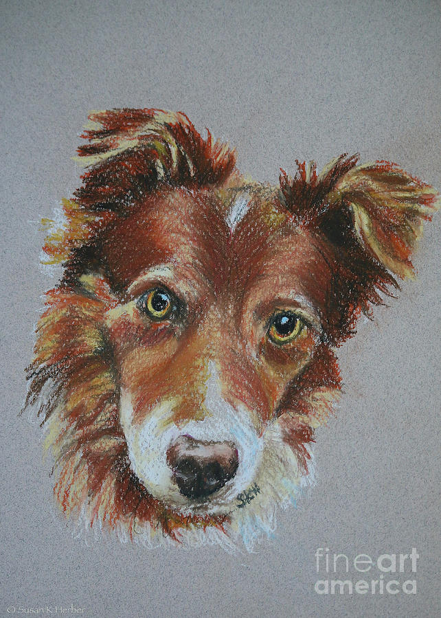 Little Red BC Pastel by Susan Herber
