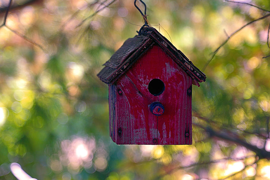 Little Red Bird House Photograph