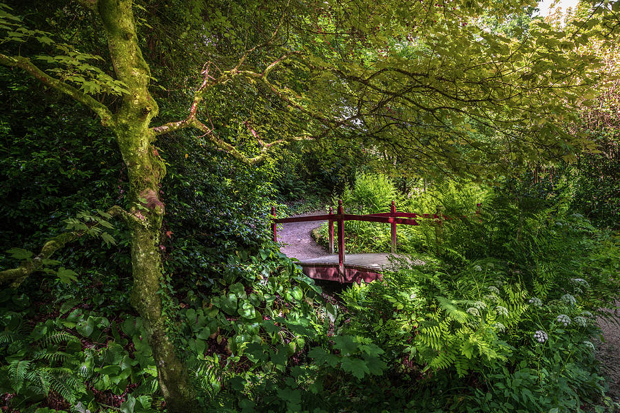 Spring Photograph - Little Red Bridge in the Japanese Garden by Debra and Dave Vanderlaan