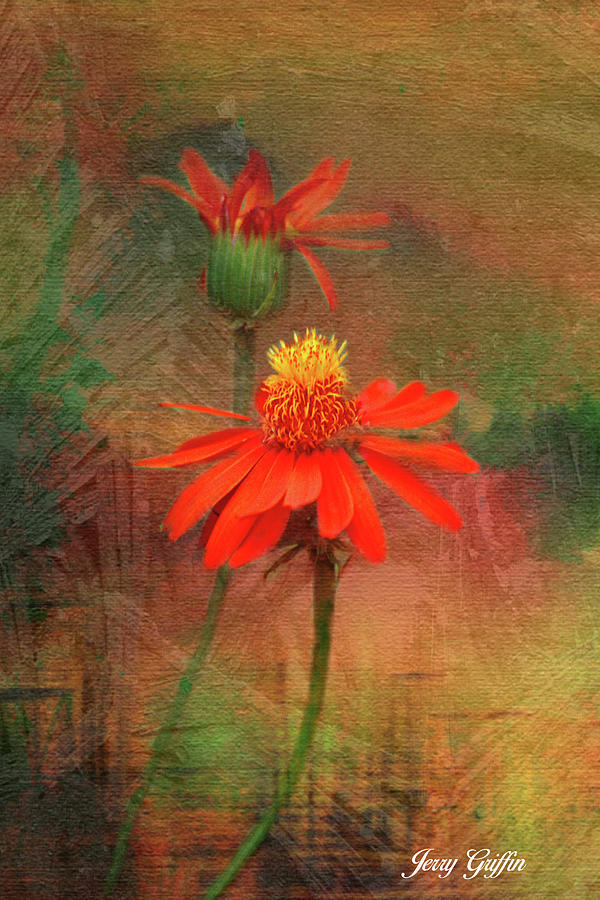 Little Red Flowers Digital Art by Jerry Griffin
