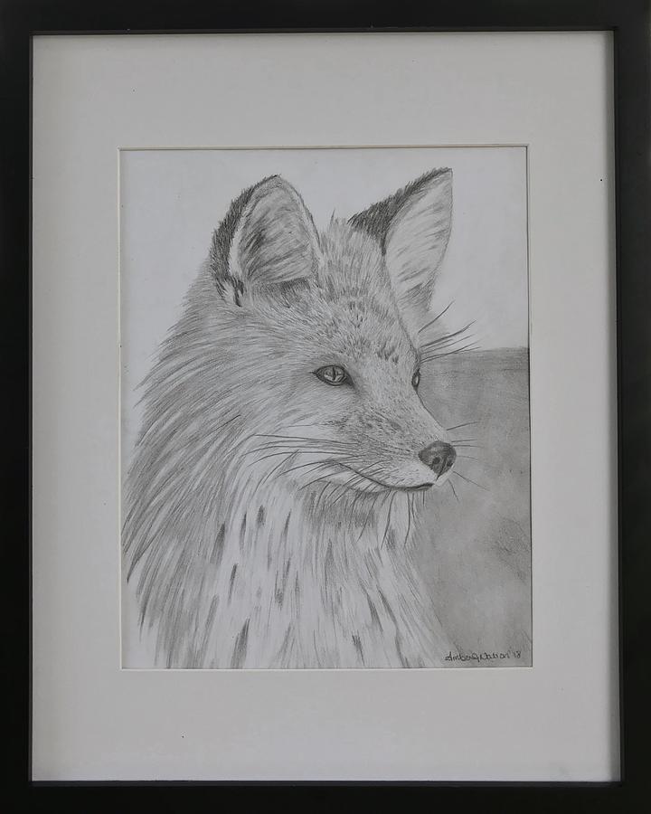 Red Fox Drawing - Little Red Fox by Amber Nation Red Fox Drawing - Little Red Fox by Amber Nation
