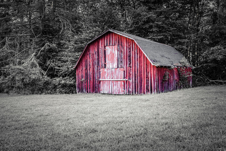 Little Red Riding Barn Photograph by Dana Foreman