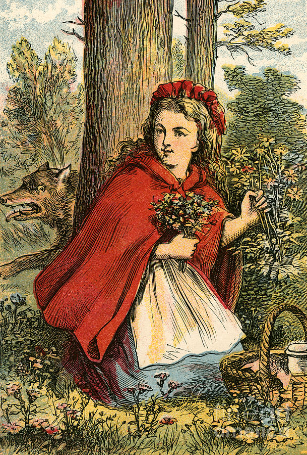 Fairy Painting - Little Red Riding Hood gathering flowers by English School