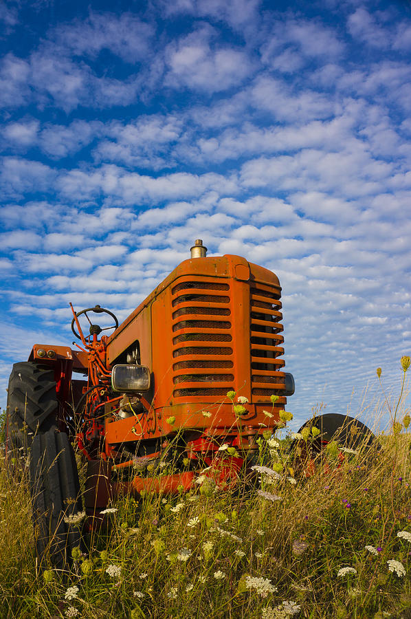 Little red Tractor Photograph by John Paul Cullen