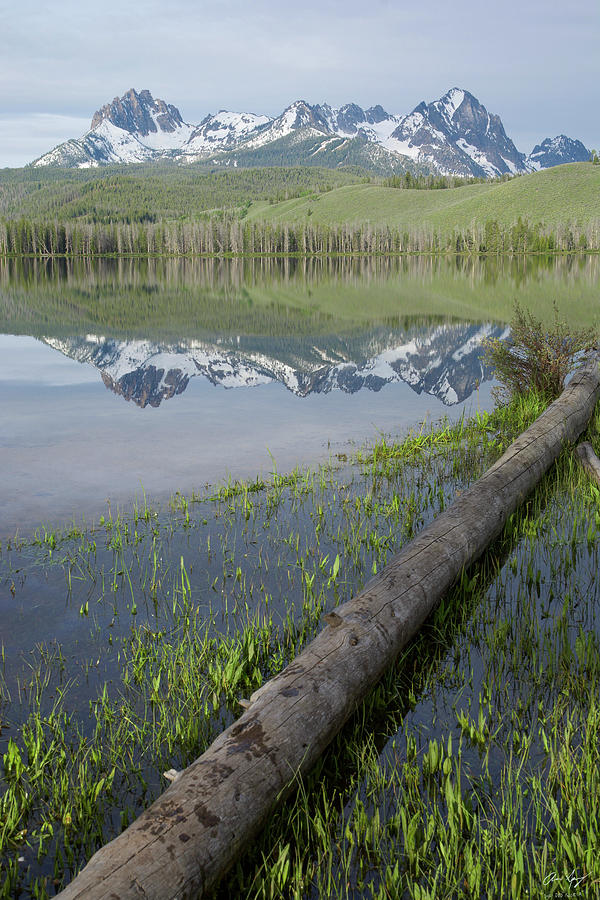 Mountain Photograph - Little Redfish Lake Vertical by Aaron Spong