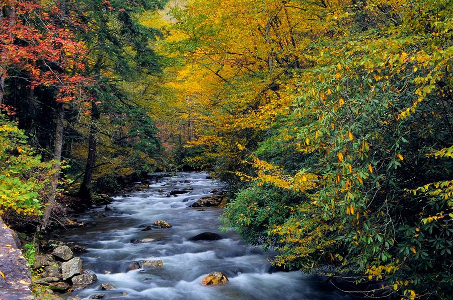 Little River Photograph by Dennis Nelson | Fine Art America