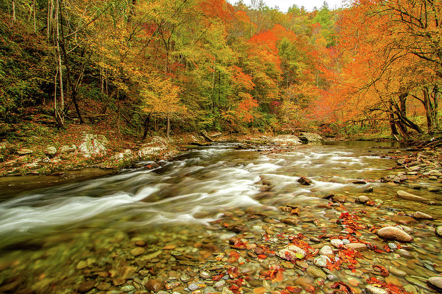 Little River in Autumn Photograph by Joe Ladendorf - Fine Art America