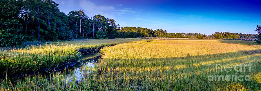 Little River Marsh - 2 Photograph by David Smith