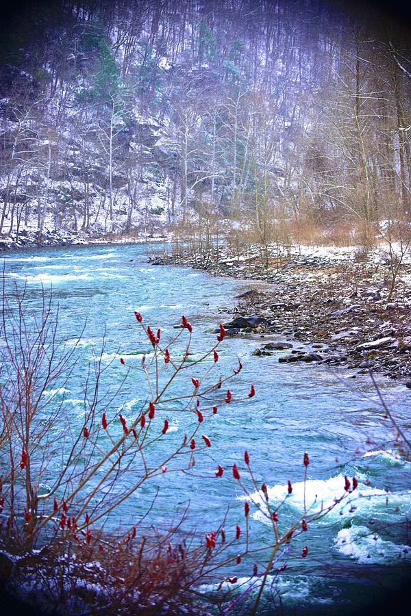 Little River Run Photograph by Tracy Rice Frame Of Mind
