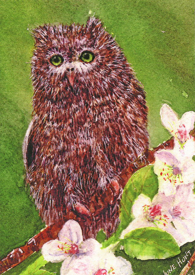 Little Screech Owl Painting by June Hunt