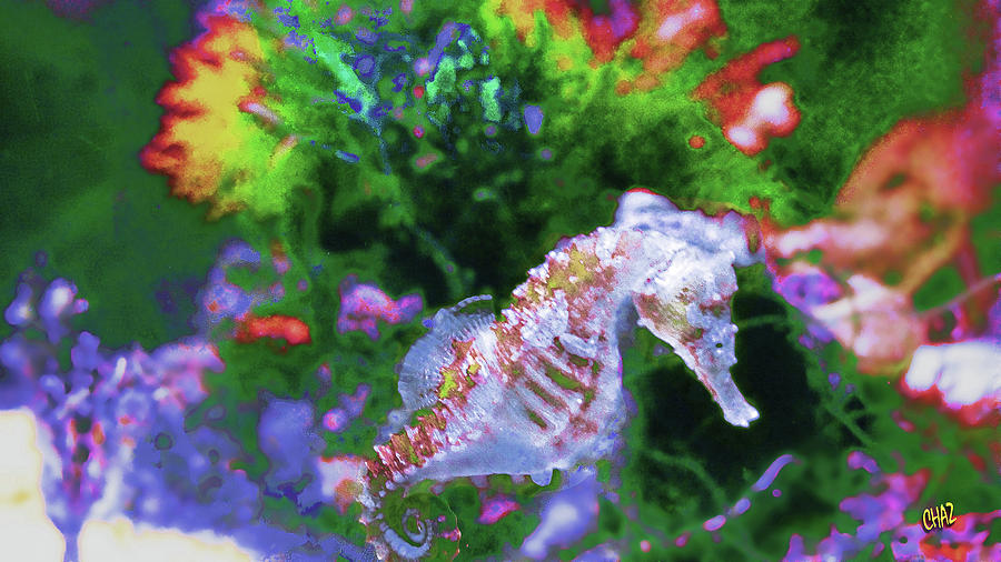 Little Sea Horse Painting by CHAZ Daugherty