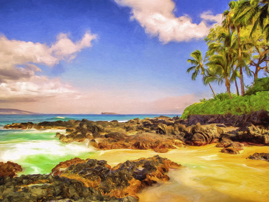Little Secluded Maui Cove Painting by Dominic Piperata