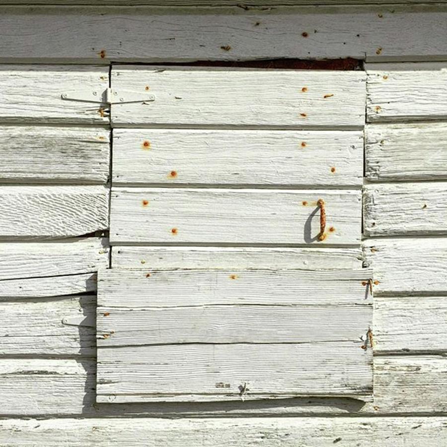 Urban Photograph - Little Secret Door. #woodendoor by Ginger Oppenheimer
