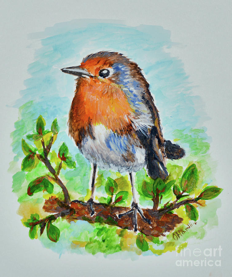 Little Serious Robin Painting by Olga Hamilton