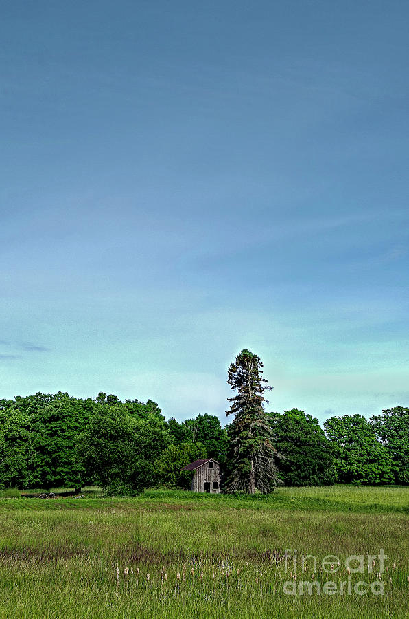 Little Shack in the Prarie by Randy Pollard Little Shack in the Prarie by Randy Pollard