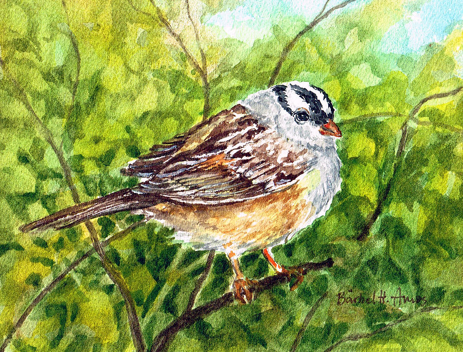 Little Sparrow Painting by Barbel Amos